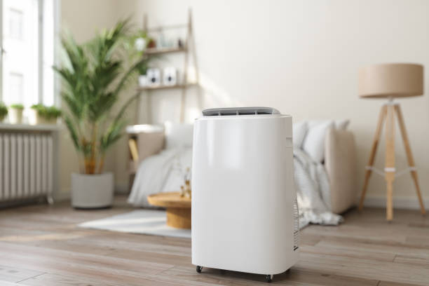 Best Thermostats and Smart Controls in Lockney, TX